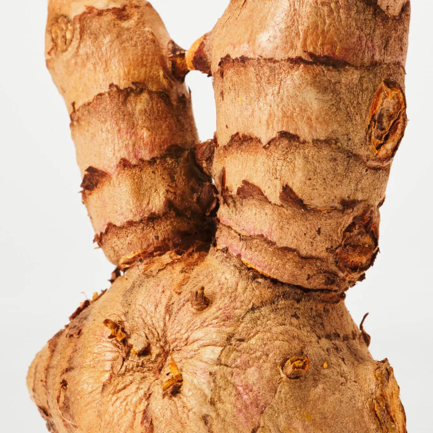 Curcumin ingredient